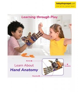 Smartivity DIY Robotic Mechanical Hand, STEM, Fun Toys for kids 8-14, Educational & Construction Activity, Birthday Gift, Science Engineering Project-2