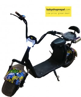 Electric Scooter-1