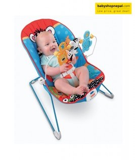 Fisher-Price Baby's Bouncer-1