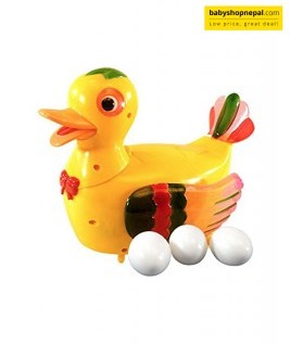 Egg Laying Yellow Duck-1
