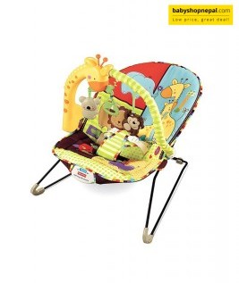 Fisher-Price Play Time Baby Bouncer-1
