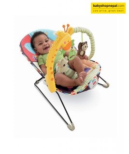 Fisher-Price Play Time Baby Bouncer-2