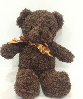 Brown Teddy Bear  Soft Toys-1